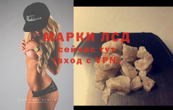 сатива Вяземский
