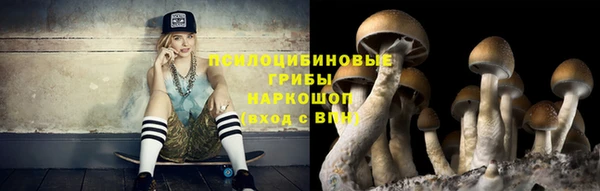 тгк Абдулино