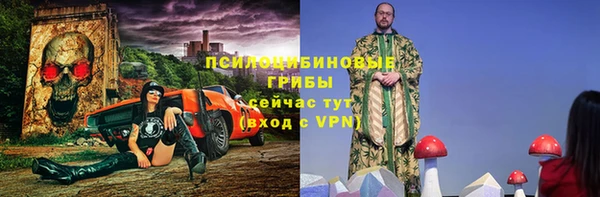mdpv Каменка